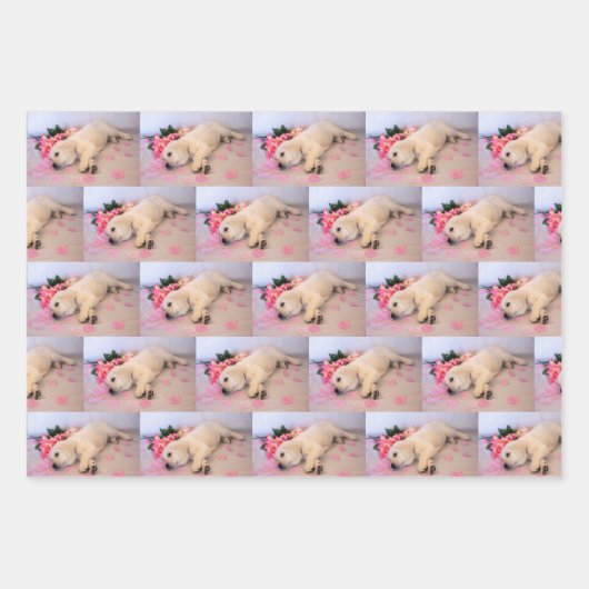 Puppy Sleep Flower 01 Inpakpapier Vel (Voorkant 3)