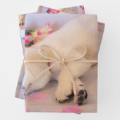 Puppy Sleep Flower 01 Inpakpapier Vel (In situ)