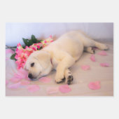 Puppy Sleep Flower 01 Inpakpapier Vel (Voorkant)