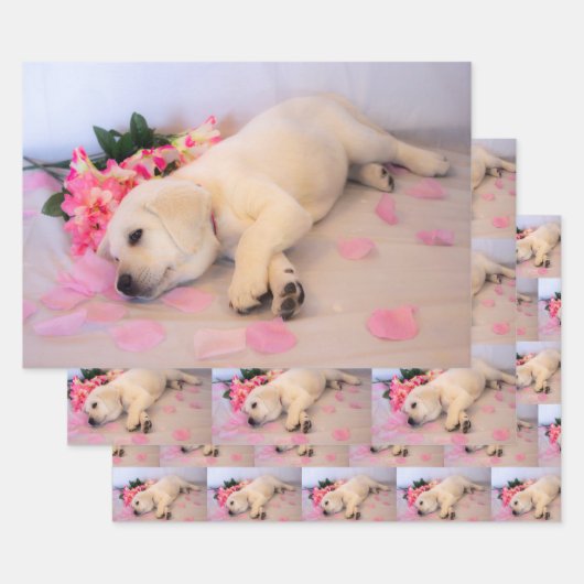 Puppy Sleep Flower 01 Inpakpapier Vel (Set)