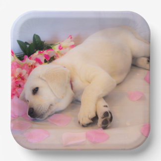 Puppy Sleep Flower 01 Papieren Bordje