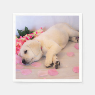 Puppy Sleep Flower 01 Servet