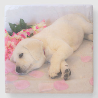 Puppy Sleep Flower 01 Stenen Onderzetter