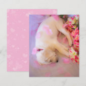 Puppy Sleepy Veil 01 (Voorkant / Achterkant)