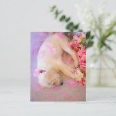 Puppy Sleepy Veil 01 (Staand voorkant)