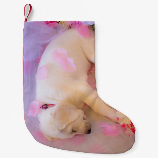Puppy Sleepy Veil 01 Kleine Kerstsok (Voorkant)