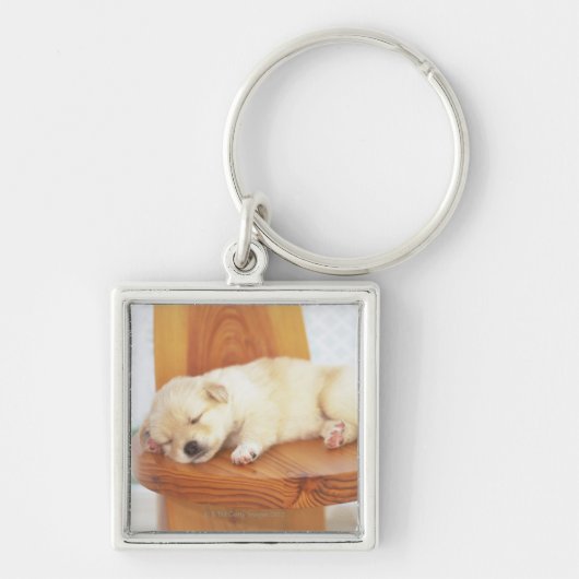 Puppy Sleutelhanger (Voorkant)