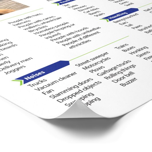 Puppy Socialization Checklist Poster (Hoek)