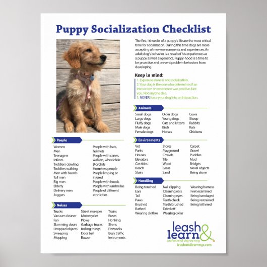 Puppy Socialization Checklist Poster (Voorkant)