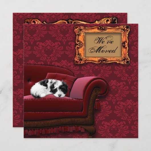 Puppy Sofa Wijziging van adres Briefkaarten (Voorkant / Achterkant)