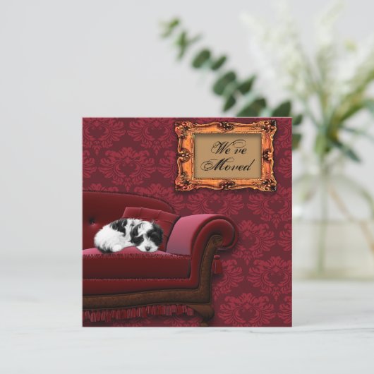 Puppy Sofa Wijziging van adres Briefkaarten (Staand voorkant)