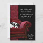 Puppy Sofa Wijziging van adres Briefkaarten (Voorkant)