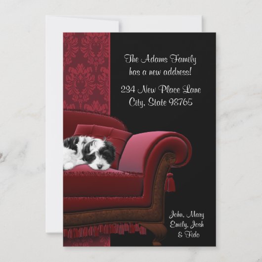 Puppy Sofa Wijziging van adres Briefkaarten (Voorkant)