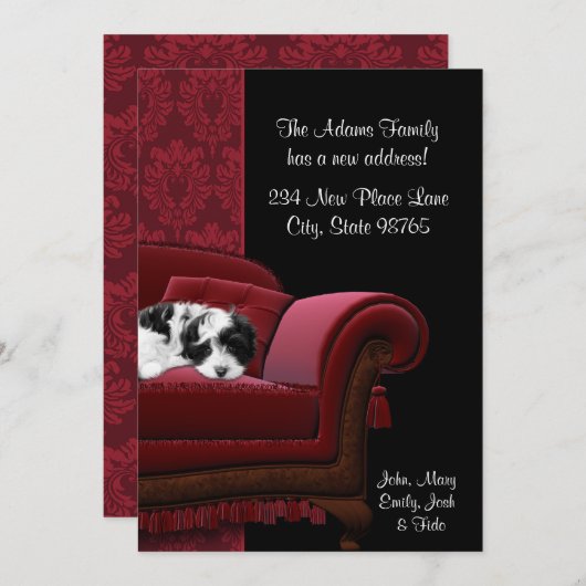 Puppy Sofa Wijziging van adres Briefkaarten (Voorkant / Achterkant)