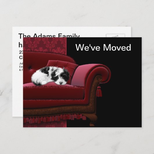 Puppy Sofa Wijziging van adres Briefkaarten (Voorkant / Achterkant)