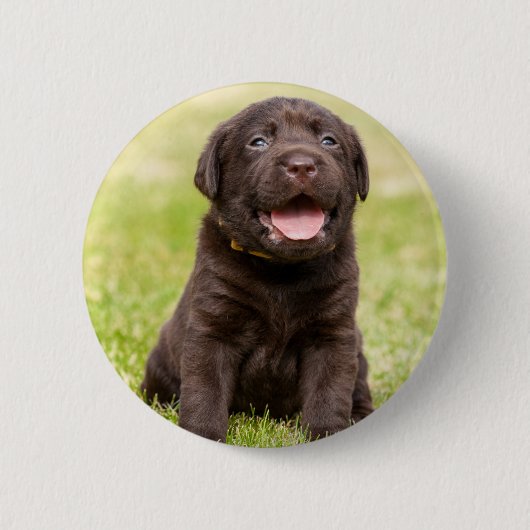 Puppy soft dog ronde button 5,7 cm (Voorkant)
