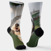 Puppy Soks Sokken (Gebogen)