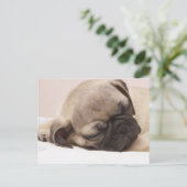 Puppy Soundly Sleeping Briefkaart (Staand voorkant)