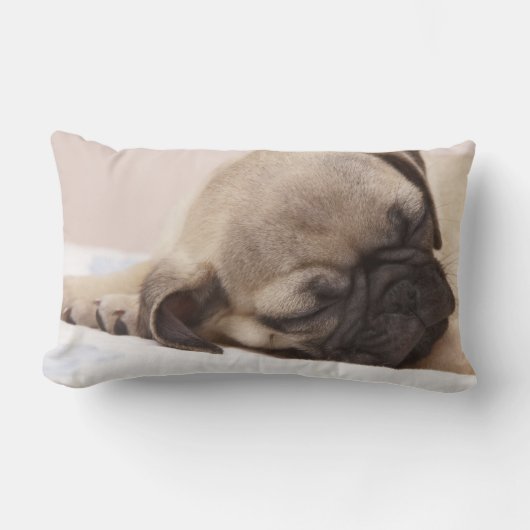Puppy Soundly Sleeping Kussen (Voorkant)