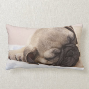 Puppy Soundly Sleeping Kussen