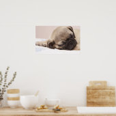 Puppy Soundly Sleeping Poster (Keuken)