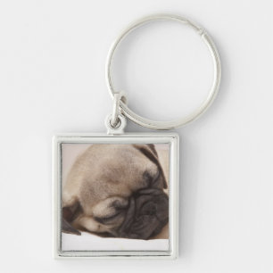 Puppy Soundly Sleeping Sleutelhanger