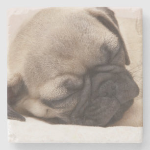 Puppy Soundly Sleeping Stenen Onderzetter