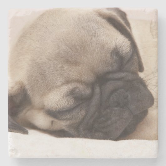 Puppy Soundly Sleeping Stenen Onderzetter (Voorkant)