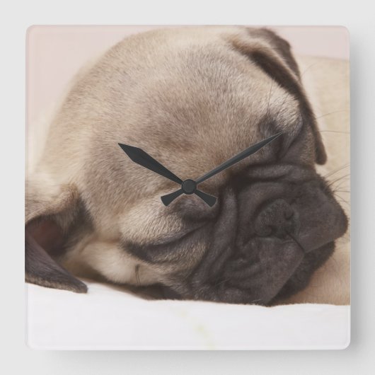 Puppy Soundly Sleeping Vierkante Klok (Voorkant)