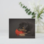 Puppy spelen 2 briefkaart (Staand voorkant)