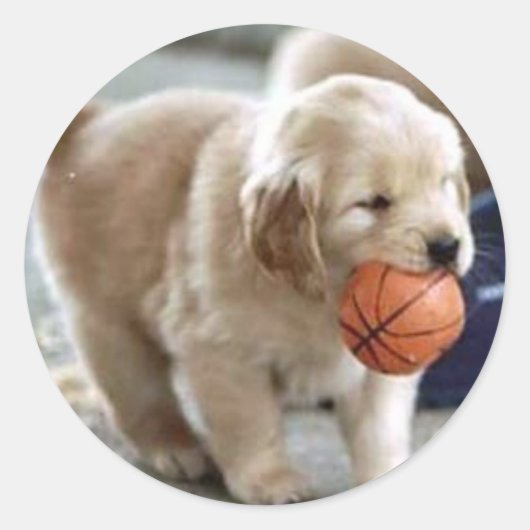 Puppy Stickers (Voorkant)