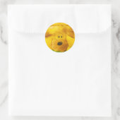 Puppy stickers (Tas)