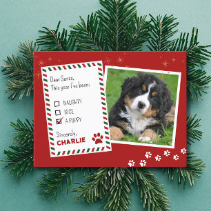Puppy stout of mooi kerst Wenskaart Briefkaart