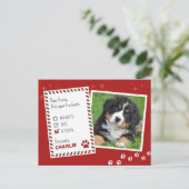 Puppy stout of mooi kerst Wenskaart Briefkaart (Staand voorkant)