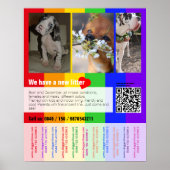 Puppy te koop flyer met QR code Poster (Voorkant)