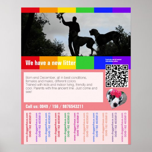 Puppy te koop flyer met QR code Poster (Voorkant)