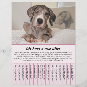puppy te koop flyer sjablonen