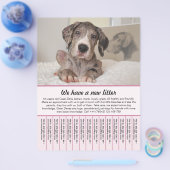 puppy te koop flyer sjablonen (Enkel)