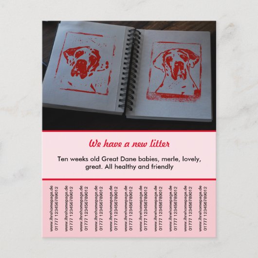 puppy te koop flyer sjablonen (Voorkant)
