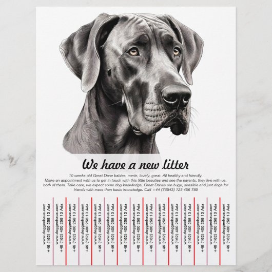 Puppy te koop flyer sjablonen (Voorkant)