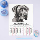Puppy te koop flyer sjablonen (Enkel)