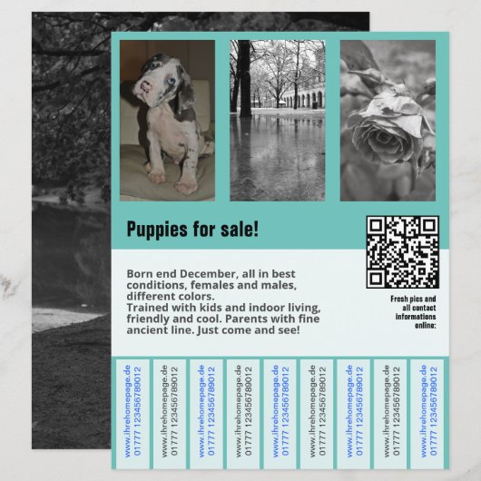 puppy te koop flyer sjabloon QR-code (Voorkant / Achterkant)
