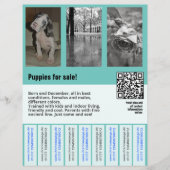 puppy te koop flyer sjabloon QR-code (Voorkant)