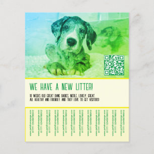 Puppy te koop sjabloon flyer