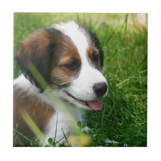 Puppy Tegeltje (Voorkant)