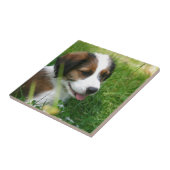 Puppy Tegeltje (Zijkant)