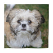 Puppy Tegeltje (Voorkant)