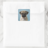 Puppy tegen blauwe achtergrond vierkante sticker (Tas)