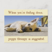 Puppy Therapy Dog Briefkaart (Voorkant)
