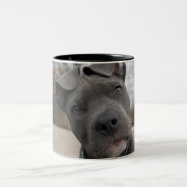 Puppy Tweekleurige Koffiemok